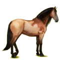 Cheval de selle Lipizzan Gris Clair