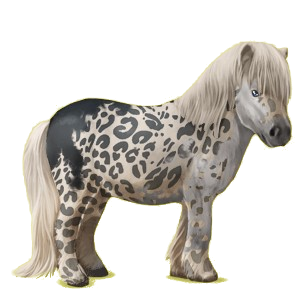 Poney pégase Shetland Bai