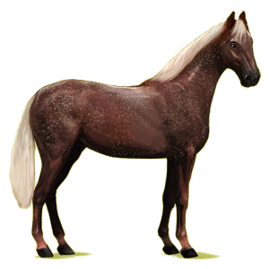 Cheval de selle Hanovrien Alezan Crins Lavés