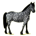 Poney pégase Pottok Pie Tobiano Alezan