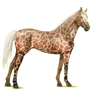 Cheval de selle Pur-Sang Anglais Isabelle