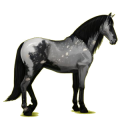 Cheval de selle Paso Péruvien Alezan