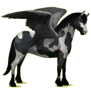 X