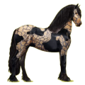 Cheval de selle Noir