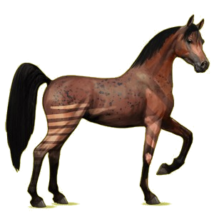 21310-normal.png