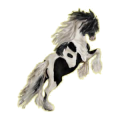 Cheval de selle Arabe Gris Clair