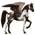 Pégase de selle Isabelle