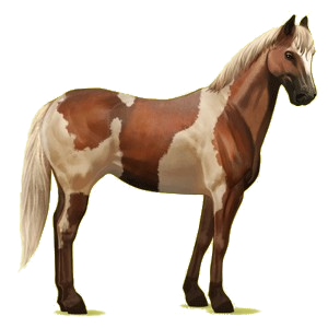 X