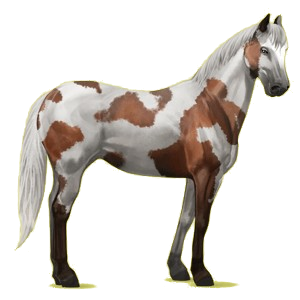 X