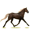Cheval de selle Trotteur Français Alezan