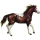 Poney Français de Selle Gris Pommelé