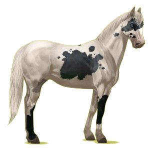X