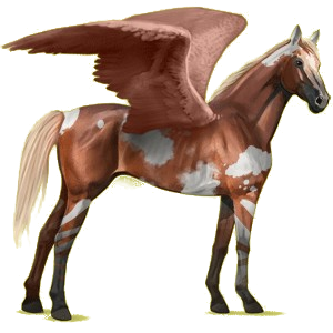 X