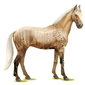 Cheval de selle Selle Français Alezan Brûlé