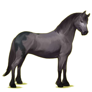 Poney Dartmoor Alezan