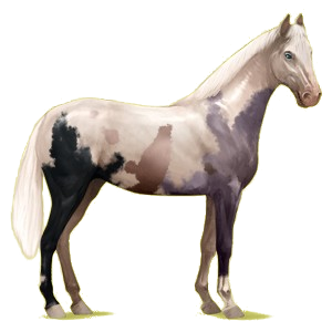 25310-normal.png