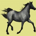 2563-miniature.jpg