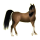 Cheval de selle Arabe Isabelle
