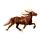 Poney Fjord Brunblakk