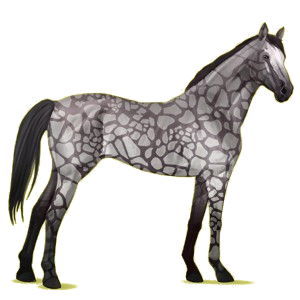 Cheval de selle Pur-Sang Anglais Alezan Brûlé