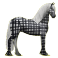 Cheval de selle Frison Noir