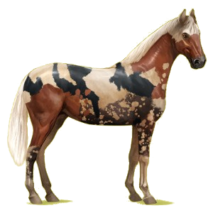 26190-normal.png