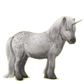 Poney licorne Shetland Bai Brûlé