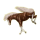 Cheval de selle Arabe Gris Pommelé