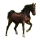 Cheval de selle Trotteur Américain Bai Cerise