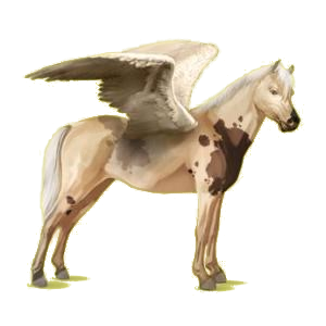 Poney pégase Français de Selle Noir