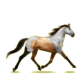 Cheval de selle Trotteur Français Alezan