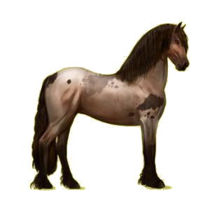 Image Ma première PDD