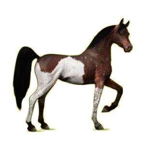 Pégase de selle Arabe Gris Souris