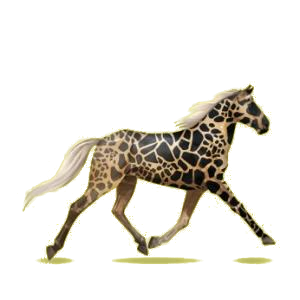 Cheval de selle Trotteur Américain Alezan