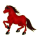 Poney Fjord Gulblakk