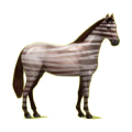 Cheval de selle Hanovrien Noir