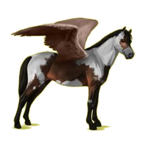 Poney pégase Français de Selle Aubère