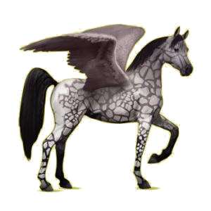 Pégase de selle Arabe Gris Souris