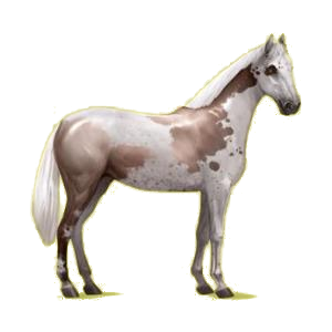 4876-normal.png