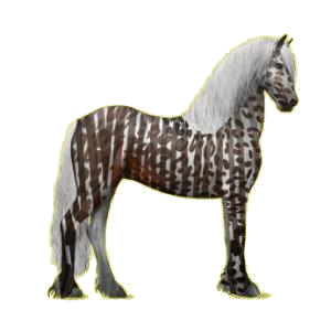 Cheval de selle Frison Noir