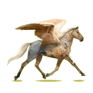 5011-normal.png