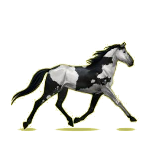 Cheval de selle Trotteur Américain Alezan