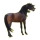 Cheval de selle Trotteur Américain Bai
