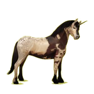 Poney licorne Connemara Rouan