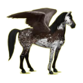 Pégase de selle Mustang Bai Brûlé