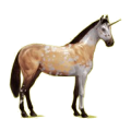 Licorne de selle Hanovrien Bai Cerise