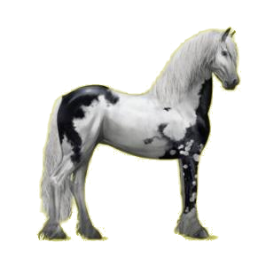 X