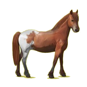 X