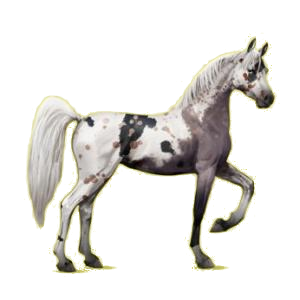 X