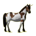 Poney licorne Pottok Pie Tobiano Gris Pommelé